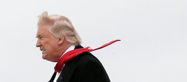 Donald Trump - Sputnik Türkiye
