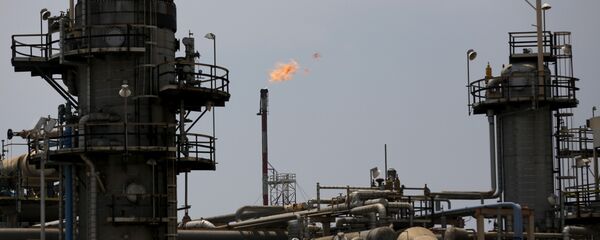 Petrol- OPEC - Sputnik Türkiye