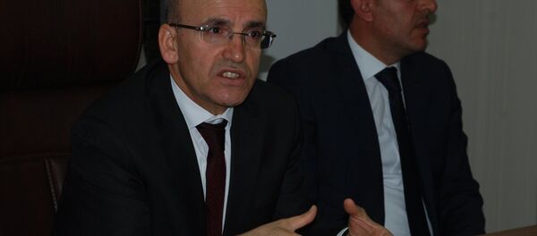 Mehmet Şimşek Batman'da konuştu - Sputnik Türkiye