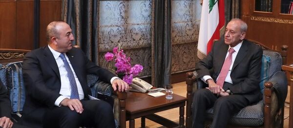 Nabih Berri - Mevlüt Çavuşoğlu - Sputnik Türkiye