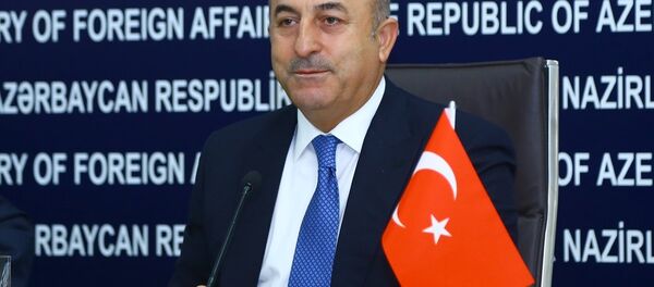 Mevlüt Çavuşoğlu - Sputnik Türkiye