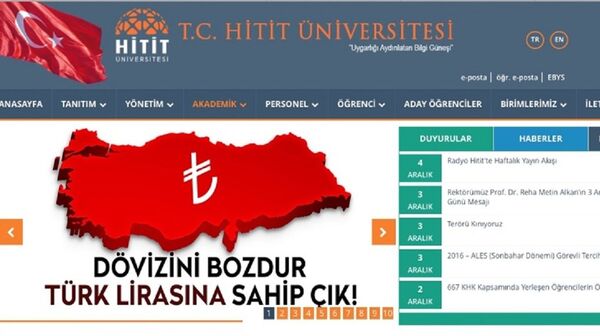 Hitit Üniversitesi'nin internet sitesindeki 'döviz' çağrısı - Sputnik Türkiye
