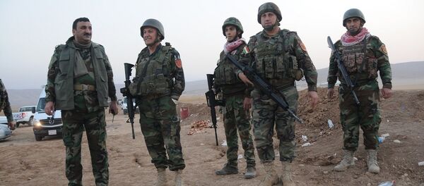 Musul'un ilçelerinden olan Şengal'in kurtarılmasında da rol oynayan Peşmerge güçlerinden bazıları - Sputnik Türkiye