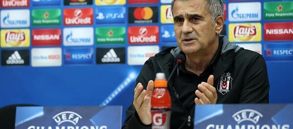 Şenol Güneş - Sputnik Türkiye