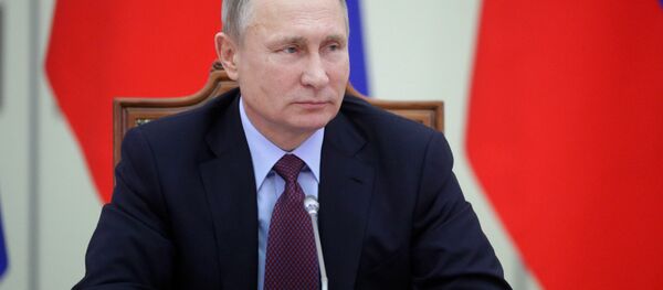Rusya Devlet Başkanı Vladimir Putin - Sputnik Türkiye