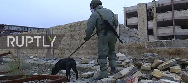 Halep’in doğusundaki mayın temizleme operasyonu başladı - Sputnik Türkiye