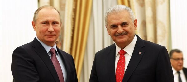 Rusya Devlet Başkanı Vladimir Putin, Başbakan Binali Yıldırım'ı kabul etti. - Sputnik Türkiye