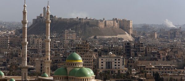 Halep kalesi ve Eski Halep bölgesi - Sputnik Türkiye