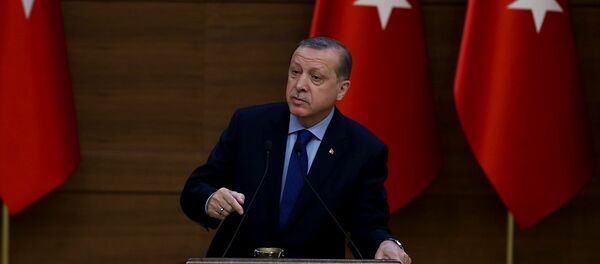 Cumhurbaşkanı Recep Tayyip Erdoğan - Sputnik Türkiye