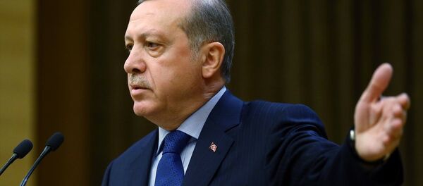 Cumhurbaşkanı Recep Tayyip Erdoğan - Sputnik Türkiye