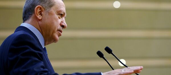 Cumhurbaşkanı Recep Tayyip Erdoğan - Sputnik Türkiye