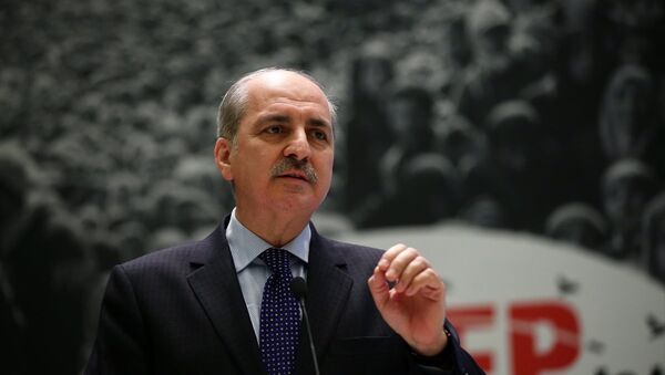 Başbakan Yardımcısı Numan Kurtulmuş - Sputnik Türkiye
