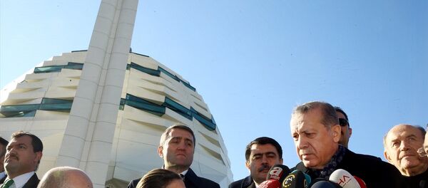 Cumhurbaşkanı Recep Tayyip Erdoğan - Sputnik Türkiye