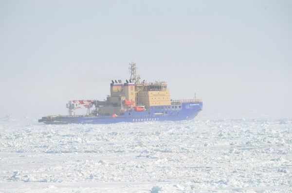 Dünyanın en güçlü buzkıran gemisi Vladivostok - Sputnik Türkiye