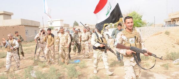 Irak ordusu ve Haşdi Şabi milisleri - Sputnik Türkiye