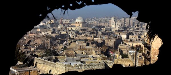 Halep, Suriye Halep, Suriye - Sputnik Türkiye