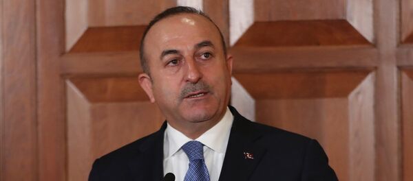 Mevlüt Çavuşoğlu - Sputnik Türkiye