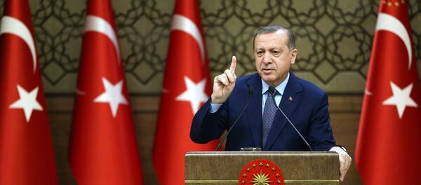 Cumhurbaşkanı Recep Tayyip Erdoğan - Sputnik Türkiye