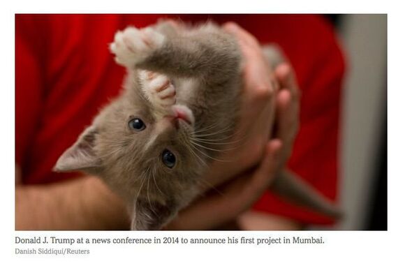 Trump'ın fotoğraflarını yavru kedilerinki ile değiştiren Google Chrome eklentisi yapıldı - Sputnik Türkiye