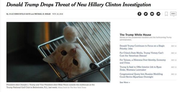 Trump'ı yavru kediye çeviren eklenti ile oldukça keyifli sonuçlar elde etmek mümkün - Sputnik Türkiye