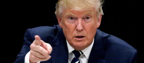 ABD'nin seçilmiş başkanı Donald Trump - Sputnik Türkiye