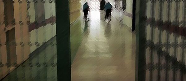 cezaevi - Sputnik Türkiye