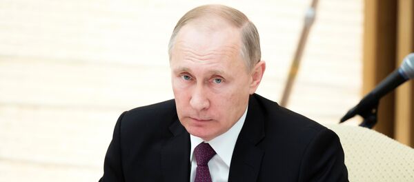 Rusya Devlet Başkanı Vladimir Putin - Sputnik Türkiye