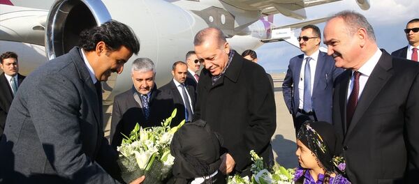 Cumhurbaşkanı Recep Tayyip Erdoğan- Katar Emiri Şeyh Temim Hamad El Tani - Sputnik Türkiye