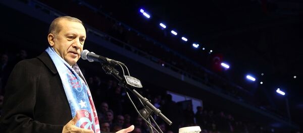 Cumhurbaşkanı Recep Tayyip Erdoğan - Sputnik Türkiye