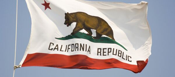 Kaliforniya eyaletinin bayrağı Kaliforniya eyaletinin bayrağı - Sputnik Türkiye
