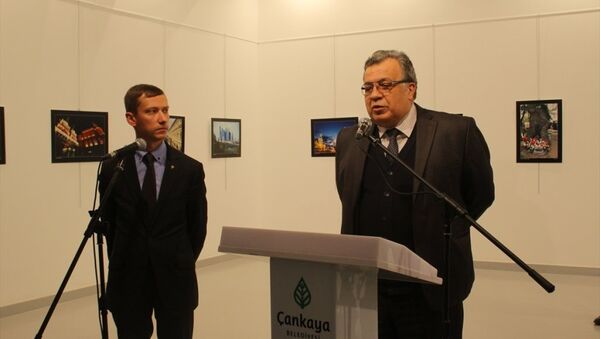 Rusya'nın Ankara Büyükelçisi Andrey Karlov, - Sputnik Türkiye
