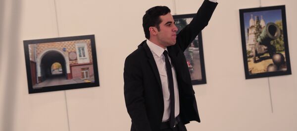 Andrey Karlov - Sputnik Türkiye