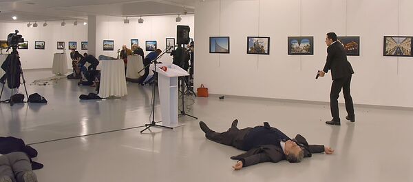 Andrey Karlov - Sputnik Türkiye