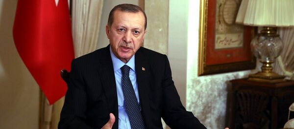 Cumhurbaşkanı Recep Tayyip Erdoğan - Sputnik Türkiye