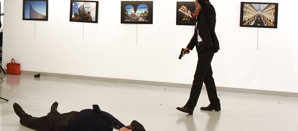 Andrey Karlov - Sputnik Türkiye