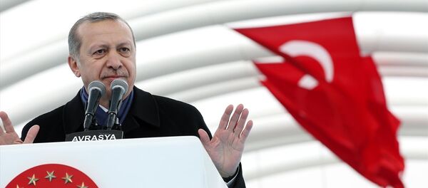 Cumhurbaşkanı Recep Tayyip Erdoğan - Sputnik Türkiye