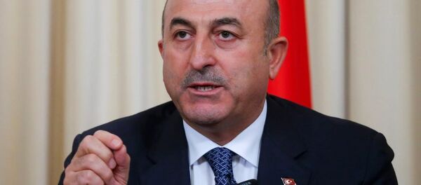 Mevlüt Çavuşoğlu - Sputnik Türkiye