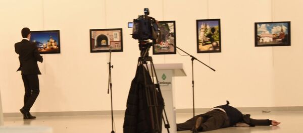 Andrey Karlov - suikast - Sputnik Türkiye