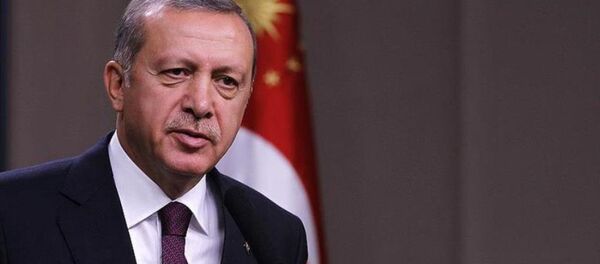 Cumhurbaşkanı Recep Tayyip Erdoğan Cumhurbaşkanı Recep Tayyip Erdoğan - Sputnik Türkiye