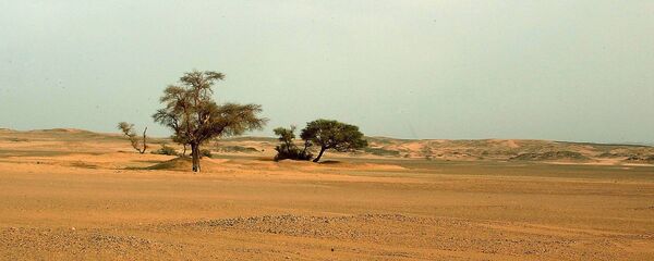 Sahra Çölü - Sputnik Türkiye