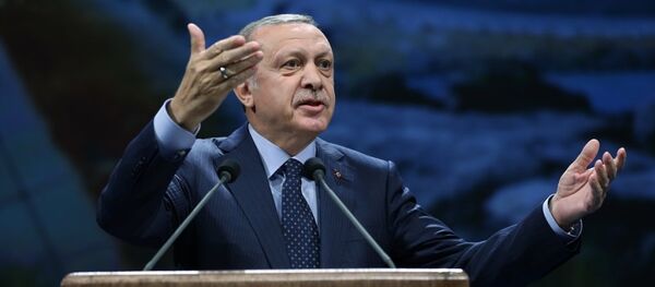 Recep Tayyip Erdoğan - Sputnik Türkiye