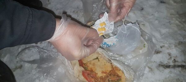 Tavuk dürümden bonzai çıktı - Sputnik Türkiye