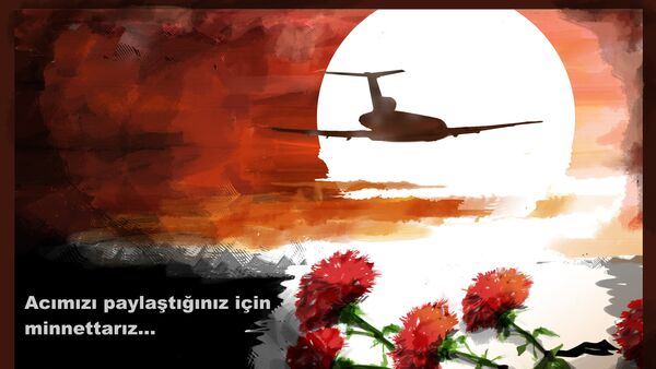 Tu-154 uçak kazası - Sputnik Türkiye