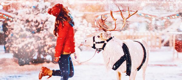 Moskova'da kış masalı - Sputnik Türkiye