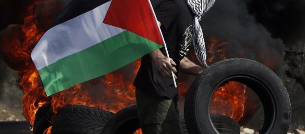 Filistin bayrağı - Sputnik Türkiye