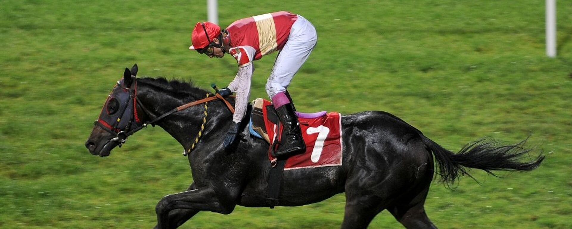 Yarış atı - Sputnik Türkiye, 1920, 14.03.2026