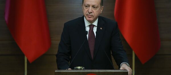 Cumhurbaşkanı Recep Tayyip Erdoğan - Sputnik Türkiye