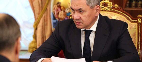 Sergey Şoygu - Sputnik Türkiye