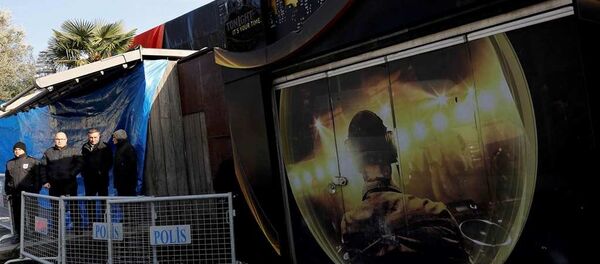 Reina - Sputnik Türkiye