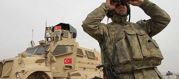 Türk askeri - Sputnik Türkiye